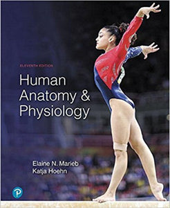 Human Anatomy and Physiology 11th edition +ModifiedMasteringA&PCard+etext by Marieb PKG 9780135175040 *FOR PICK UP ONLY* *40d [ZZ]