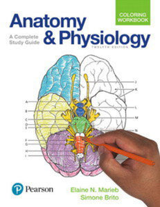 *PRE-ORDER, APPROX 4-6 BUSINESS DAYS* Anatomy and Physiology Coloring Workbook 12th edition by Brito & Marieb 9780134459363