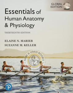 Essentials of Human Anatomy and Physiology 13th Edition by Elaine Nicpon Marieb 9781292401942 (USED:VERYGOOD; minor highlights) *102e