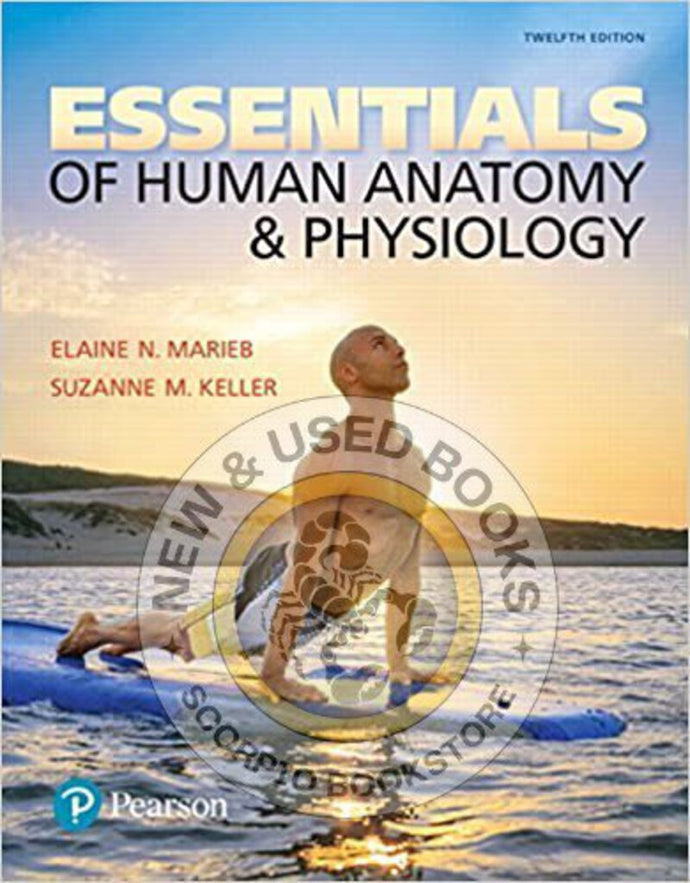 Essentials of Human Anatomy and Physiology 12th Edition by Marieb LOOSELEAF 9780134593647 (USED:VERYGOOD; unbinded) *AVAILABLE FOR NEXT DAY PICK UP* *w200 [ZZ]