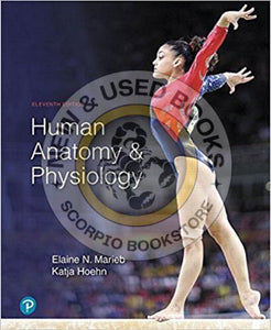 Human Anatomy and Physiology 11th edition by Marieb 9780134580999 (USED:GOOD; minor liquid damage at appendix) *104e