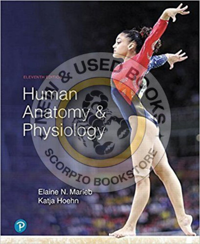 Human Anatomy and Physiology 11th edition by Marieb 9780134580999 (USED:GOOD; minor liquid damage at appendix) *104e