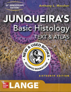Junqueira's Basic Histology 16th Edition by Anthony L. Mescher 9781260462982 (USED:GOOD) *A45 [ZZ]