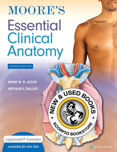 Moore's Essential Clinical Anatomy 7th Edition by Anne M. R. Agur 9781975174248 *68f [ZZ]