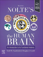 *PRE-ORDER, APPROX 4-6 BUSINESS DAYS* Nolte's The Human Brain by Todd W. Vanderah 9780443126864 [ZZ]