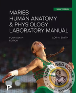 *PRE-ORDER, APPROX 4-6 BUSINESS DAYS* Marieb Human Anatomy & Physiology Laboratory Manual Main Version 14th edition by Lori A. Smith 9780135417997 [ZZ]
