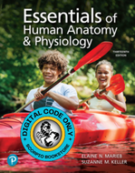eTextbook for Essentials of Human Anatomy & Physiology 13th edition by Elaine Marieb (LIFETIME) 9780135624425 *FINAL SALE*