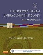 Illustrated Dental Embryology, Histology, and Anatomy 4th Edition by Margaret J. Fehrenbach 9781455776856 (USED:VERYGOOD) *D17