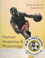 Human Anatomy and Physiology 10th Edition by Elaine Nicpon Marieb 9780321927040 (USED:VERYGOOD) *