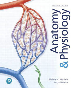 *PRE-ORDER, APPROX 4-6 BUSINESS DAYS* Anatomy and Physiology 7th edition by Marieb 9780135168042 *12a [ZZ]