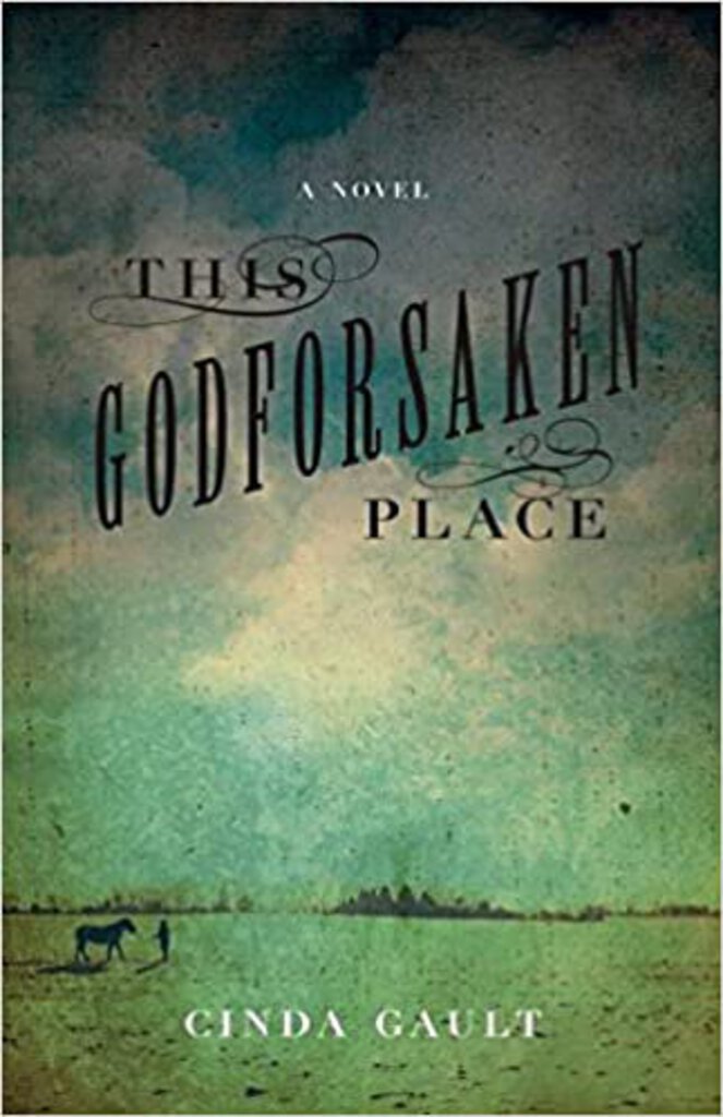 This Godforsaken Place by Cinda Gault 9781927366417 (USED:GOOD) *AVAILABLE FOR NEXT DAY PICK UP* *Z145 [ZZ]