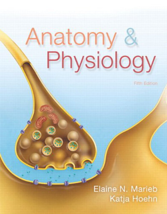 Anatomy & Physiology 5th Edition by Elaine N. Marieb 9780321861580 (USED:GOOD) *AVAILABLE FOR NEXT DAY PICK UP* *Z64 [ZZ]