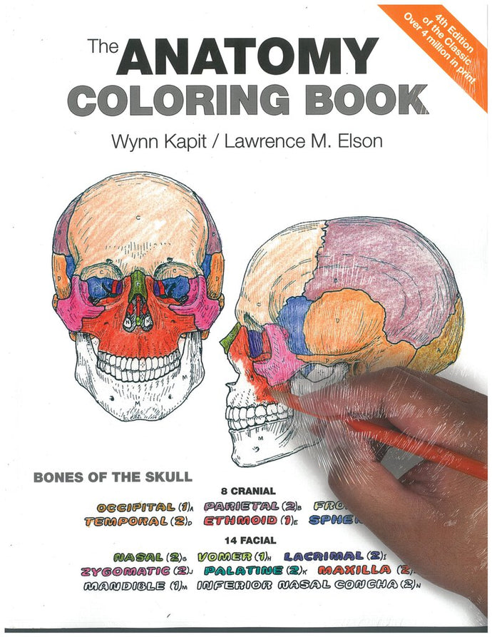 *PRE-ORDER, APPROX 1 WEEK* Anatomy Colouring 4th edition + Modified Mastering A&P with Pearson eText by Martini PKG 9780137690596 *13d
