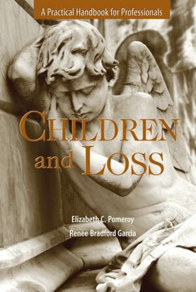 *PRE-ORDER, APPROX 7-14 BUSINESS DAYS* Children and Loss by Elizabeth C. Pomeroy 9780190616274 *FINAL SALE*