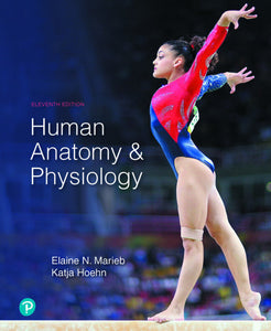 Modified Mastering for Human Anatomy and Physiology 11th edition by Marieb ACCESS CODE CARD ONLY *fr8 [ZZ]
