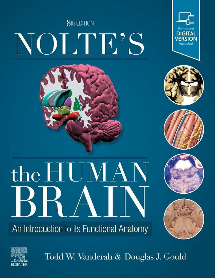 Nolte's the Human Brain 8th Edition by Todd W. Vanderah 9780323653985 (USED:ACCEPTABLE) *AVAILABLE FOR NEXT DAY PICK UP* *TBC21 [ZZ]